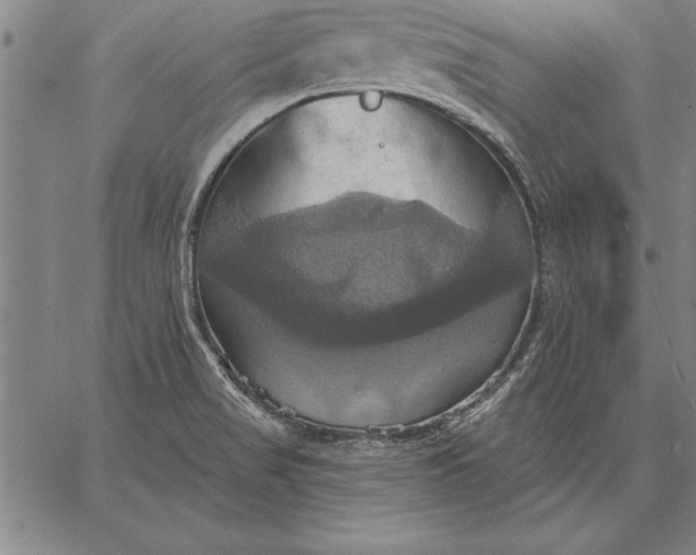 X0000067351517200604131738