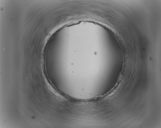 X0000067351518200604131738