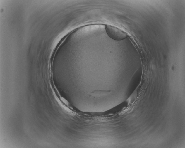 X0000067351519200604131738