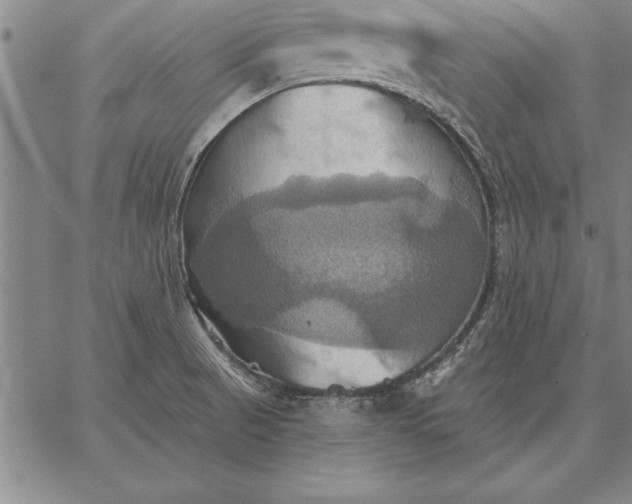 X0000067351521200604131738