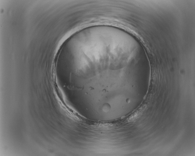 X0000067351522200604131738