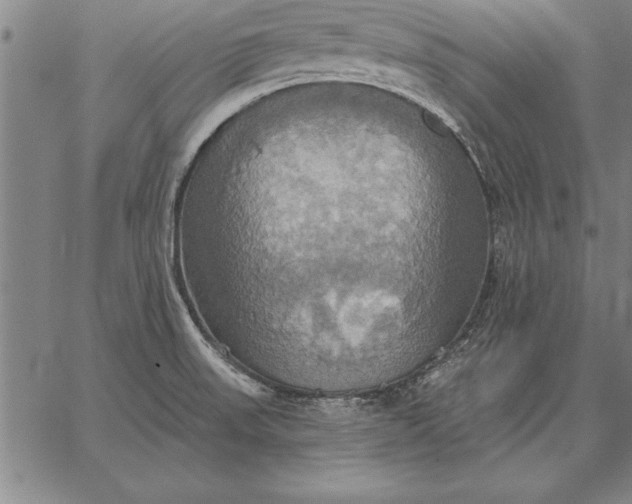 X0000067351523200604131738