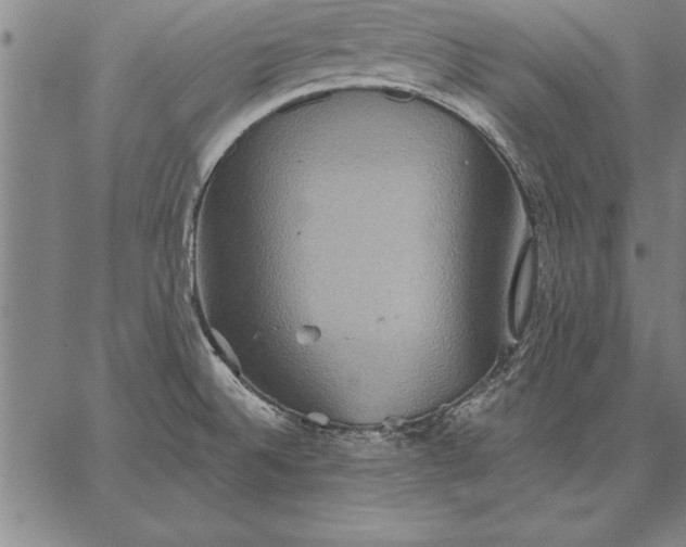 X0000067351524200604131738