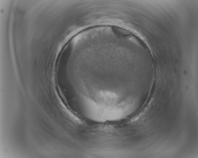 X0000067351525200604131738