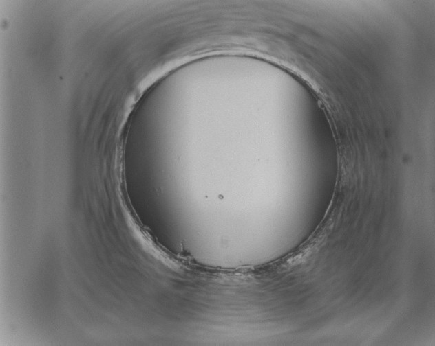 X0000067351526200604131738