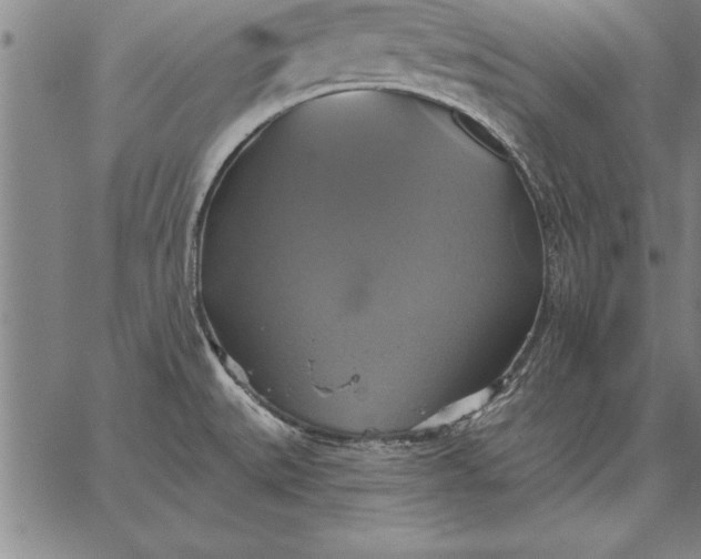 X0000067351527200604131738