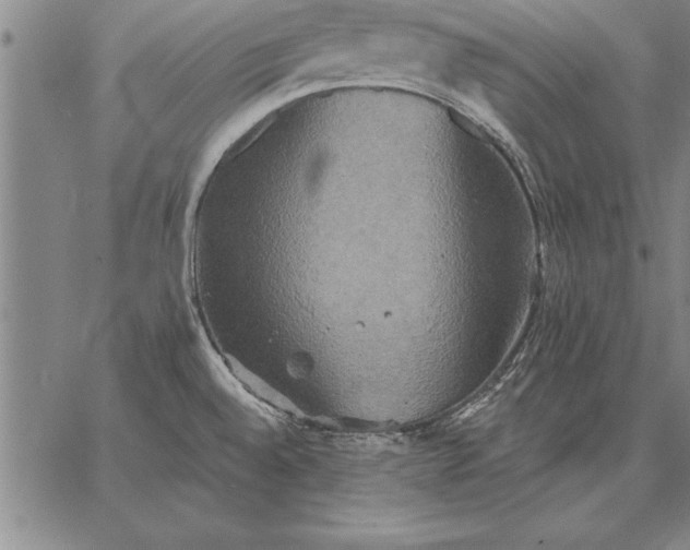 X0000067351528200604131738