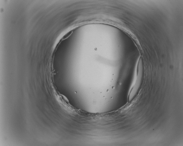 X0000067351530200604131738