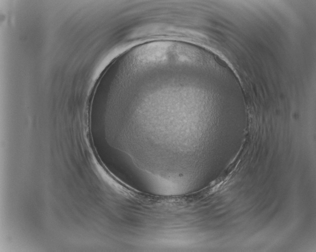 X0000067351531200604131738