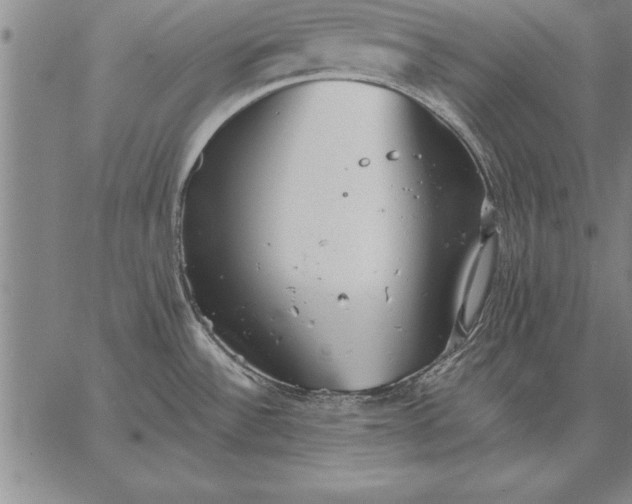 X0000067351532200604131738