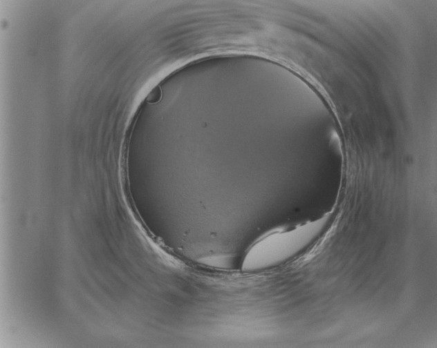 X0000067351533200604131738