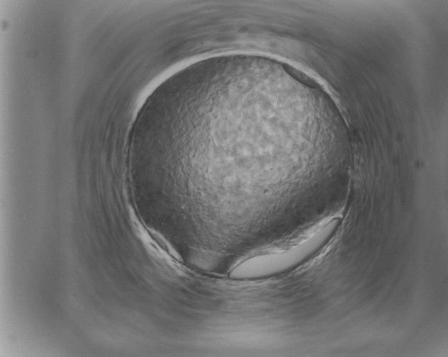 X0000067351534200604131738