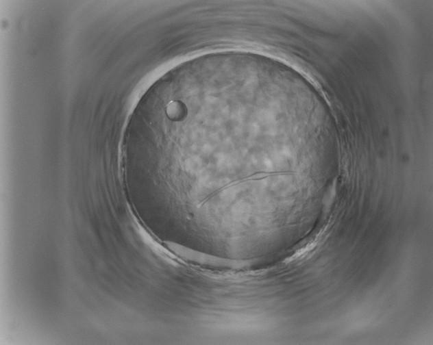 X0000067351535200604131738