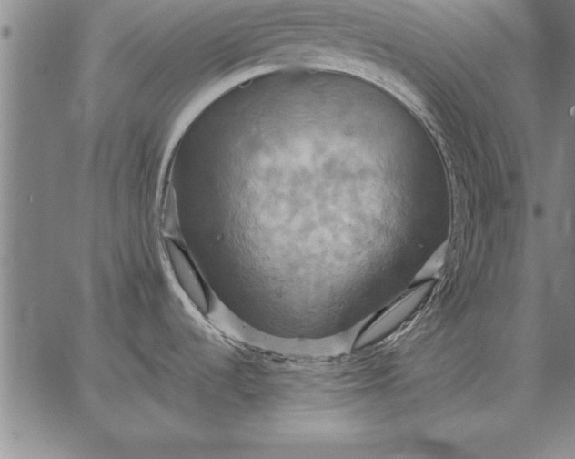 X0000067351536200604131738