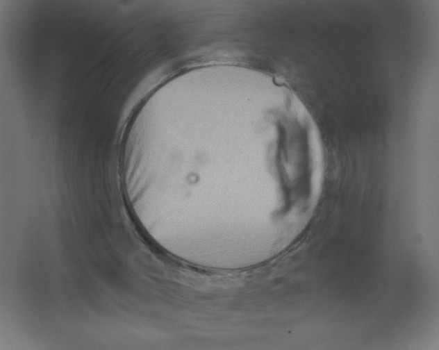 X0000067350004200604212014