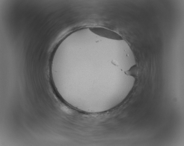 X0000067350005200604212014