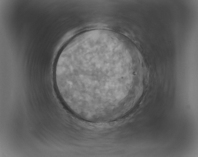 X0000067350006200604212014