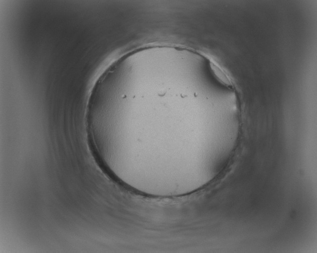 X0000067350007200604212014