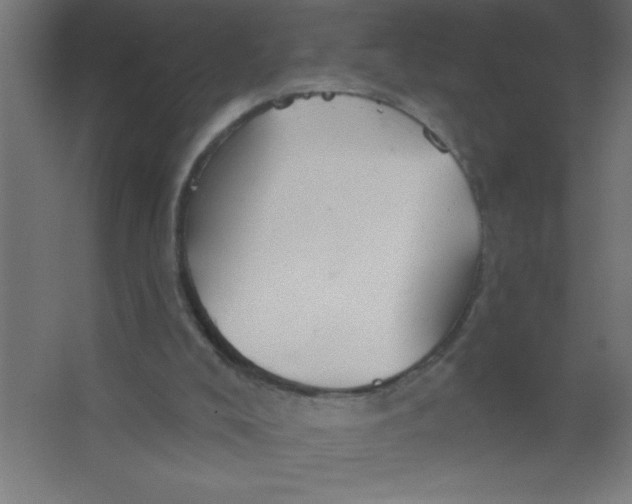 X0000067350008200604212014