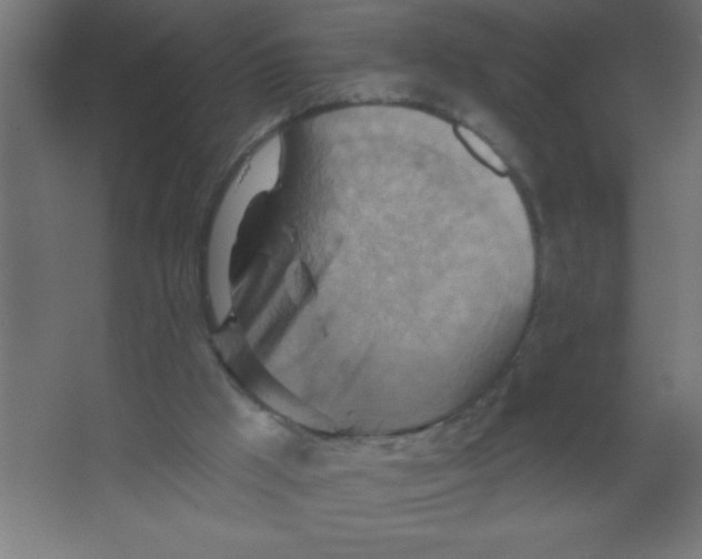 X0000067350009200604212014