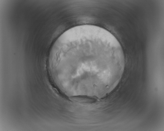 X0000067350010200604212014