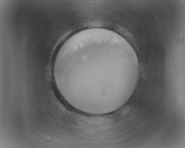 X0000067350012200604212013