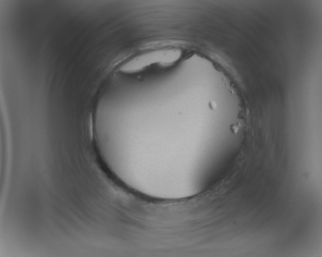 X0000067350013200604212013