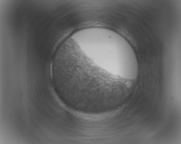 X0000067350014200604212013