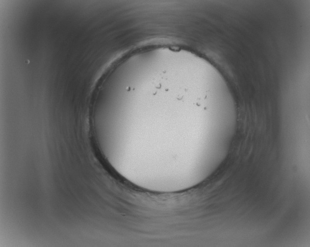 X0000067350015200604212013