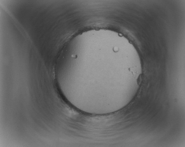 X0000067350017200604212013