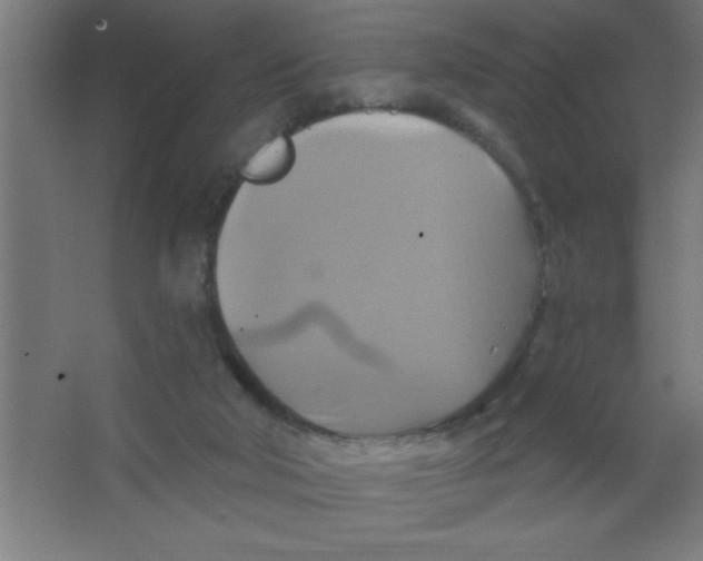 X0000067350018200604212013