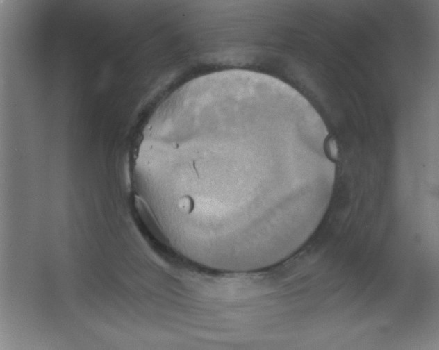 X0000067350020200604212013