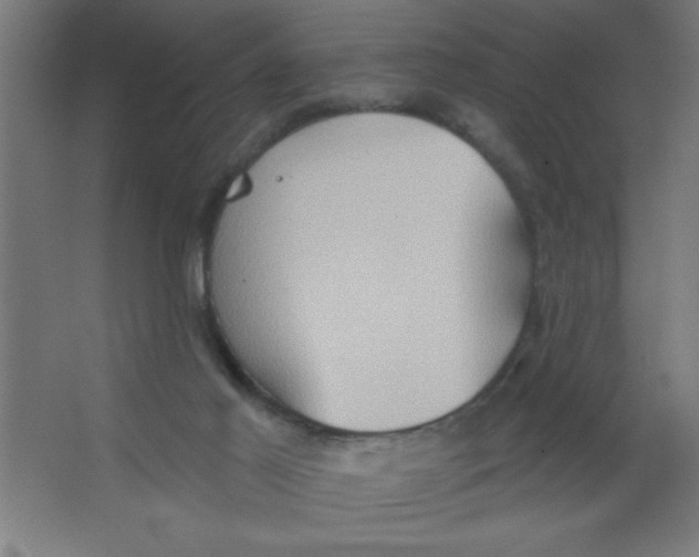 X0000067350021200604212013