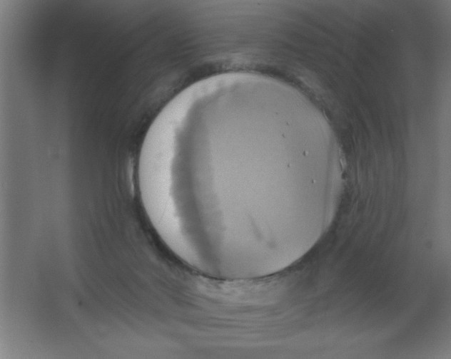 X0000067350022200604212013