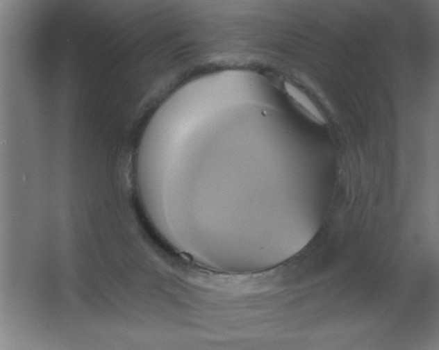 X0000067350023200604212013