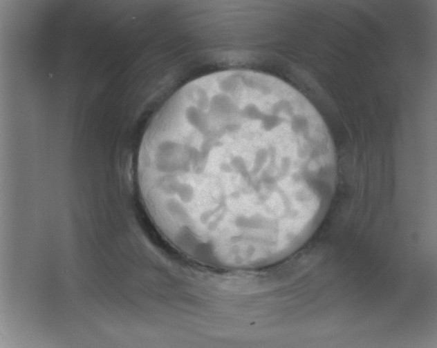 X0000067350024200604212013