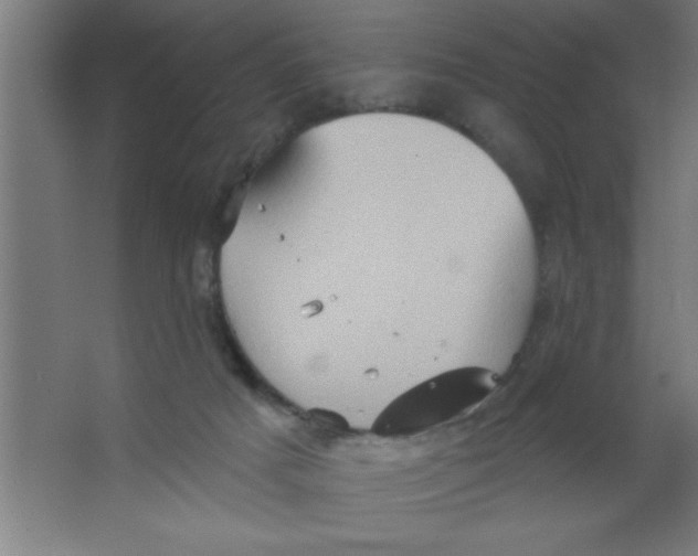 X0000067350025200604212013