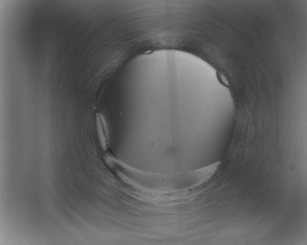 X0000067350027200604212013