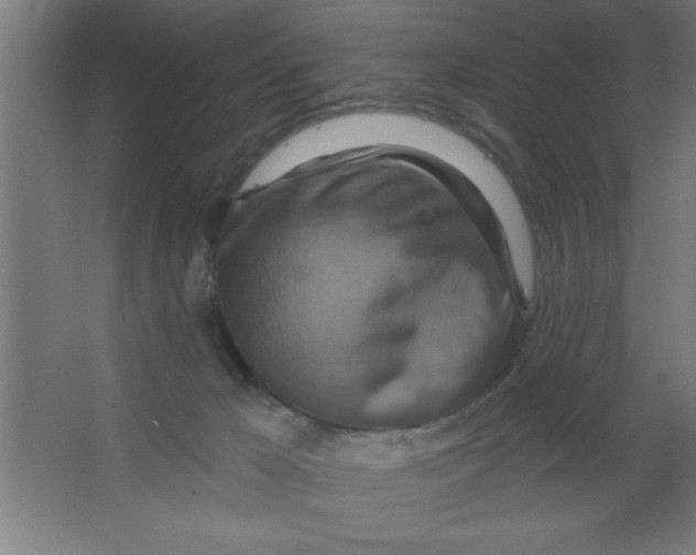 X0000067350029200604212013