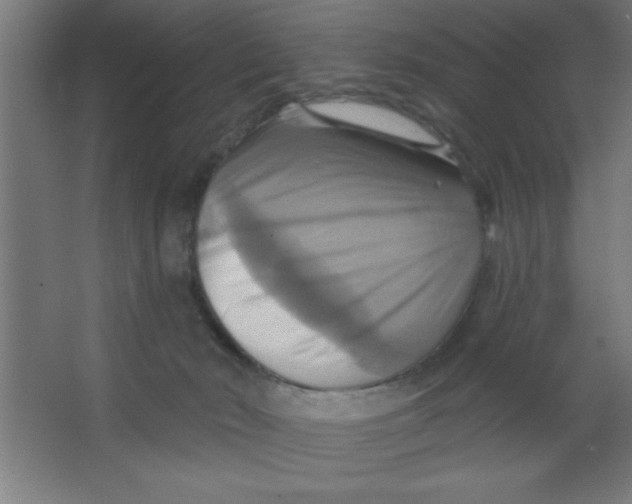 X0000067350030200604212013