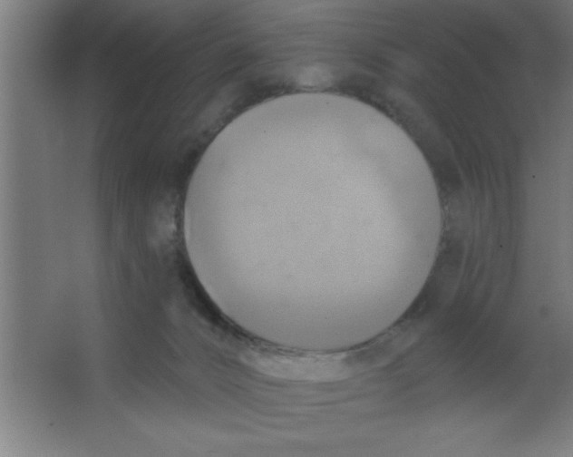 X0000067350032200604212013