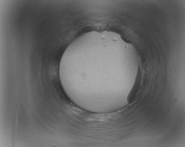 X0000067350033200604212013