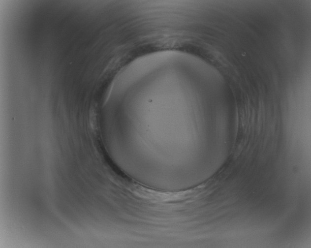 X0000067350035200604212013