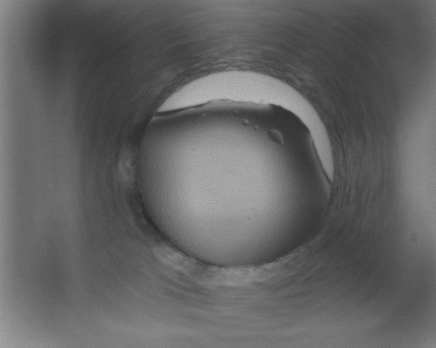 X0000067350037200604212013