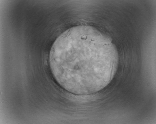 X0000067350038200604212013