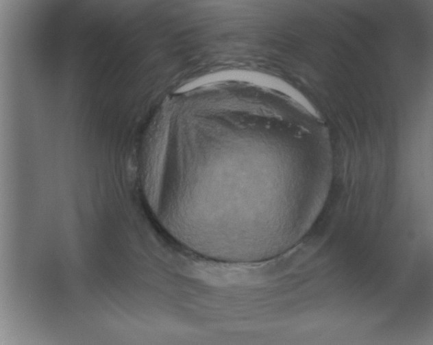 X0000067350040200604212013