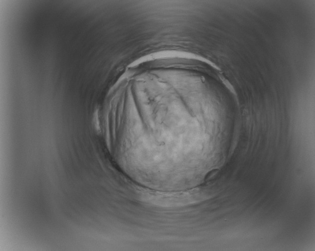 X0000067350042200604212013