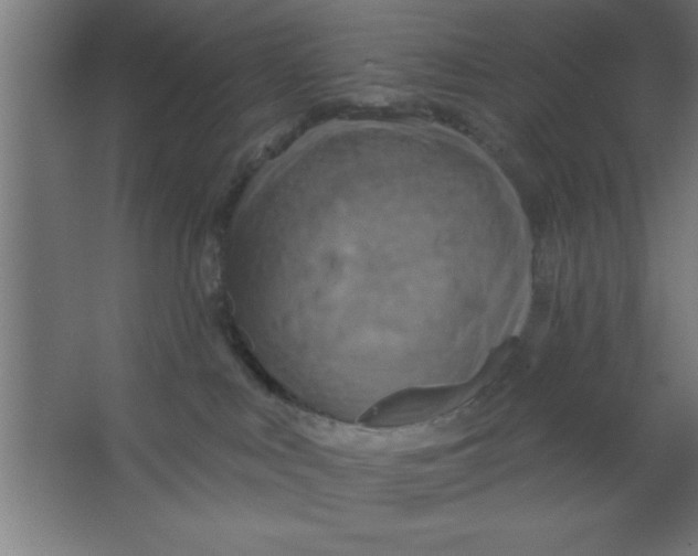 X0000067350043200604212013