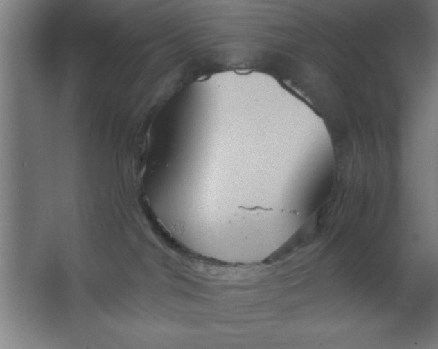 X0000067350044200604212013