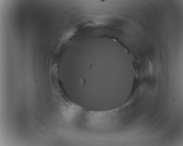 X0000067350045200604212013